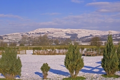 Riverside-Caravan-Site-View